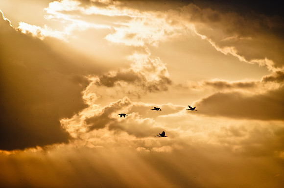 Heavenly Flight
