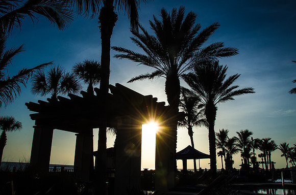 Peeking through the Pergola