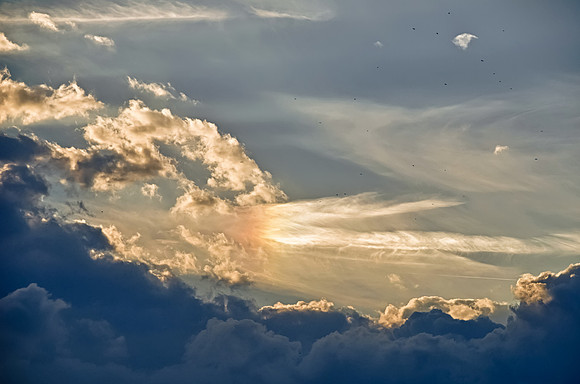 Prism Cloud