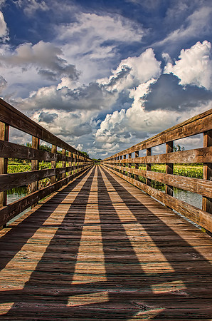A Different Perspective