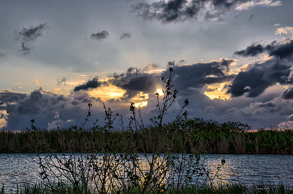 Loxahatchee Waterway, September 2012
