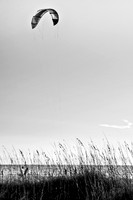 Sail & Seagrass B&W