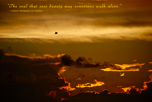 A Soul That Sees Beauty