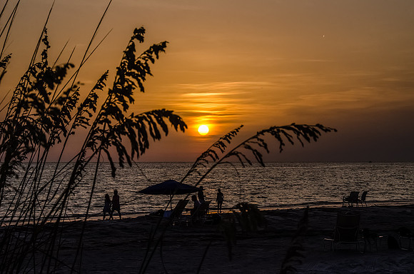 Sunset Through The Seagrass
