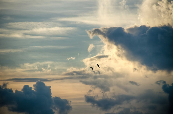 Heavenly Pas de Deux II