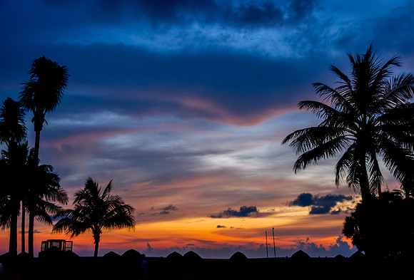 Evening at the Oasis