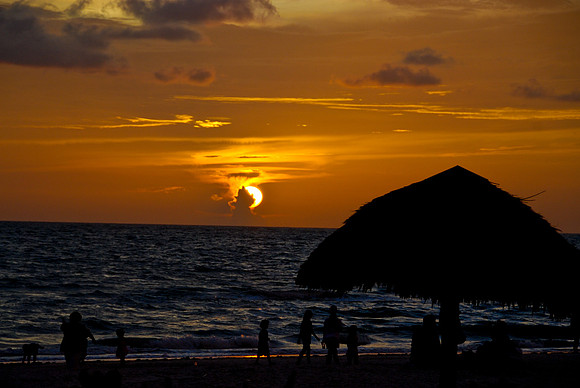 Sunset Silhouettes