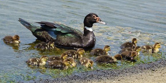 Proud Mama Tess