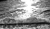 Seafoam B&W