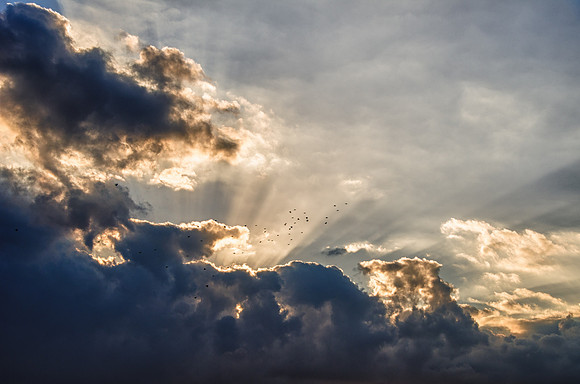Clouded Majesty