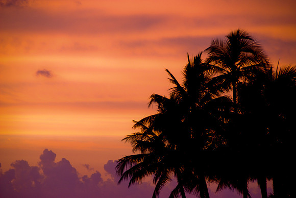 Under a Sherbert Sky