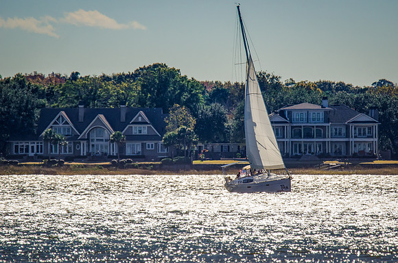 Thanksgiving Day Cruise