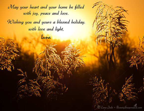 Warm Ice Holiday Card - web