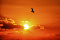 In Flight Through Fire and Light