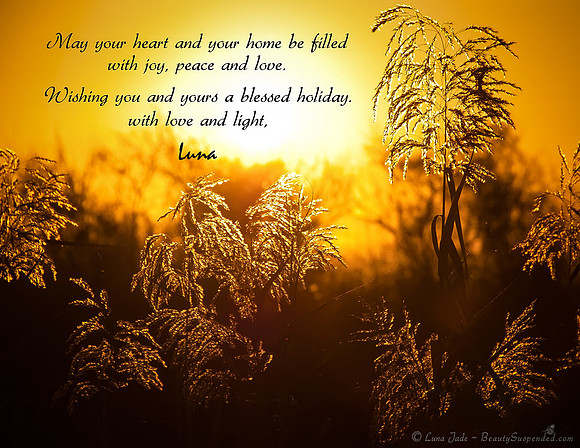 Warm Ice Holiday Card - print