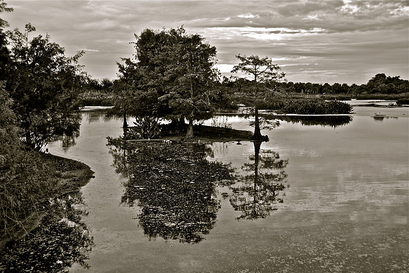 Green Cay at Dusk (Black & White)